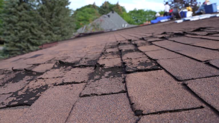 Best Rubber Roofing (EPDM, TPO)  in Riverdale, IL